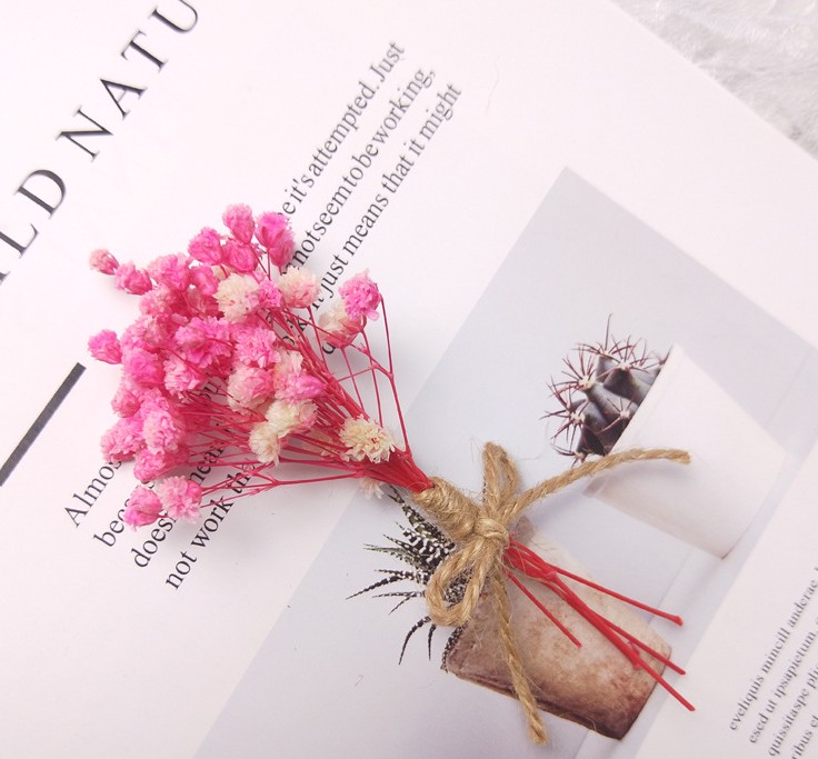 BÓ HOA BABY SẤY KHÔ TRANG TRÍ NẾN/THIỆP/CRAFTBOOK HANDMADE T.CRAFT HOUSE