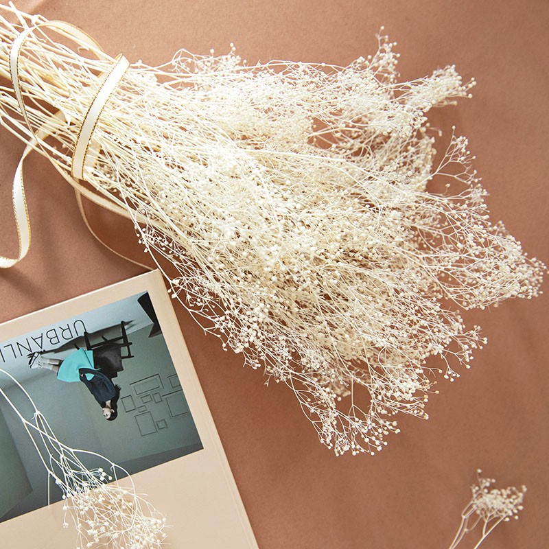 HOA BABY BLOOM KHÔ LOẠI 1 TRANG TRÍ NẾN/THIỆP/CRAFTBOOK HANDMADE T.CRAFT HOUSE