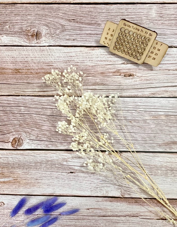 HOA BABY BLOOM KHÔ LOẠI 1 TRANG TRÍ NẾN/THIỆP/CRAFTBOOK HANDMADE T.CRAFT HOUSE