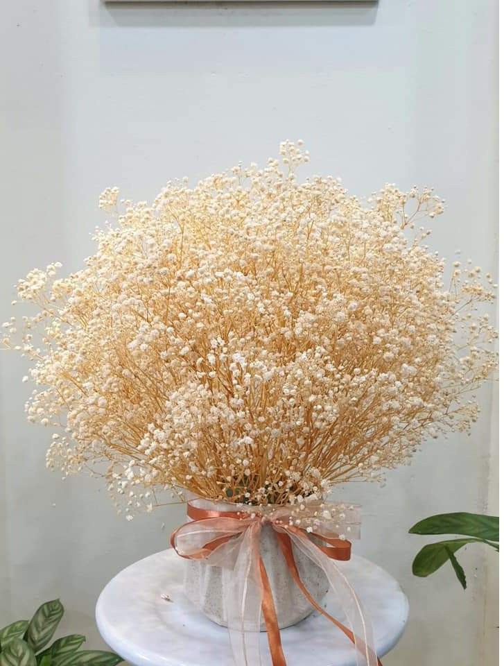 HOA BABY BLOOM KHÔ LOẠI 1 TRANG TRÍ NẾN/THIỆP/CRAFTBOOK HANDMADE T.CRAFT HOUSE
