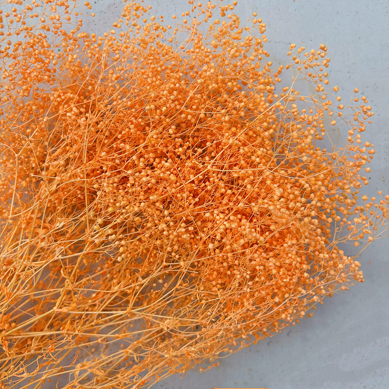 HOA BABY BLOOM KHÔ LOẠI 1 TRANG TRÍ NẾN/THIỆP/CRAFTBOOK HANDMADE T.CRAFT HOUSE