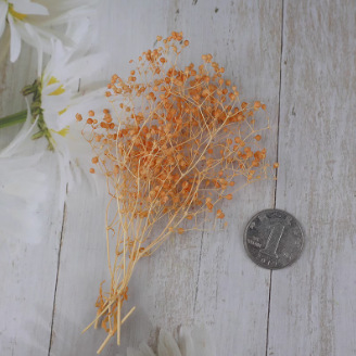 HOA BABY BLOOM KHÔ LOẠI 1 TRANG TRÍ NẾN/THIỆP/CRAFTBOOK HANDMADE T.CRAFT HOUSE