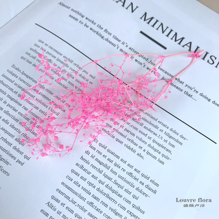 HOA BABY BLOOM KHÔ LOẠI 1 TRANG TRÍ NẾN/THIỆP/CRAFTBOOK HANDMADE T.CRAFT HOUSE