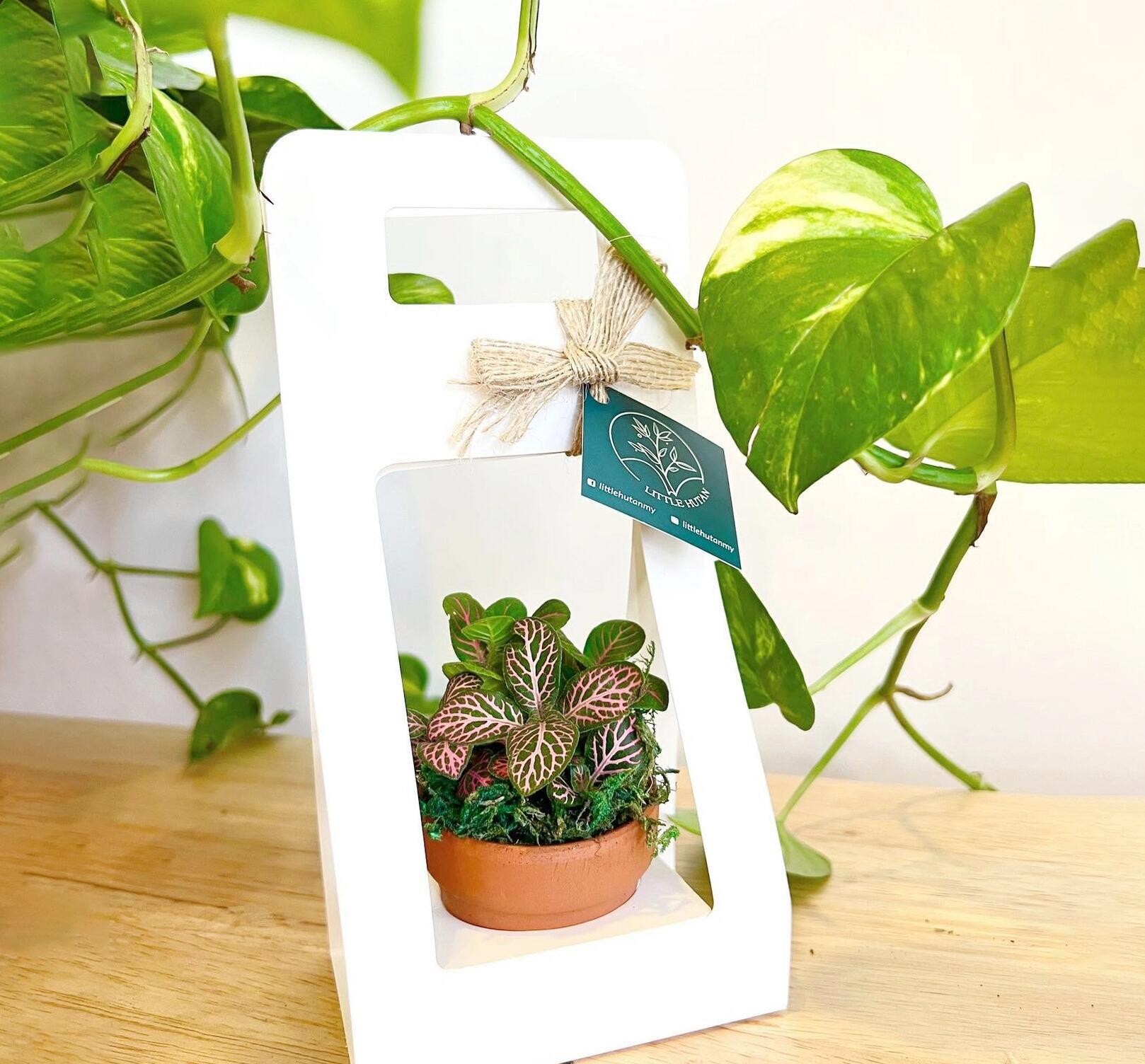 SET 5 HỘP GIẤY CẮM HOA CÓ QUAI XÁCH CAO CẤP T.CRAFT HOUSE