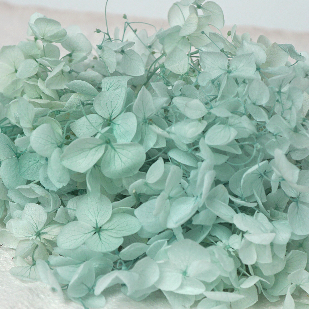 HOA CẨM TÚ CẦU KHÔ LOẠI 1 TRANG TRÍ NẾN/THIỆP/CRAFTBOOK HANDMADE T.CRAFT HOUSE