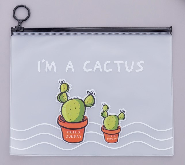 TÚI ĐỰNG BÚT CHẤT LIỆU NHỰA TRONG SUỐT CHỐNG THẤM NƯỚC DÀNH CHO HỌC SINH T-CRAFT ^^