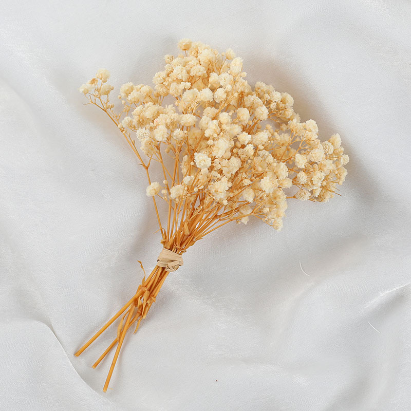 BÓ HOA BABY SẤY KHÔ TRANG TRÍ NẾN/THIỆP/CRAFTBOOK HANDMADE T.CRAFT HOUSE