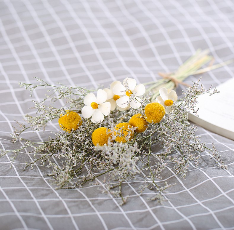 ĐẦU HOA CÚC NÚT ÁO KHÔ LOẠI 1 TRANG TRÍ NẾN/THIỆP/CRAFTBOOK HANDMADE T.CRAFT HOUSE