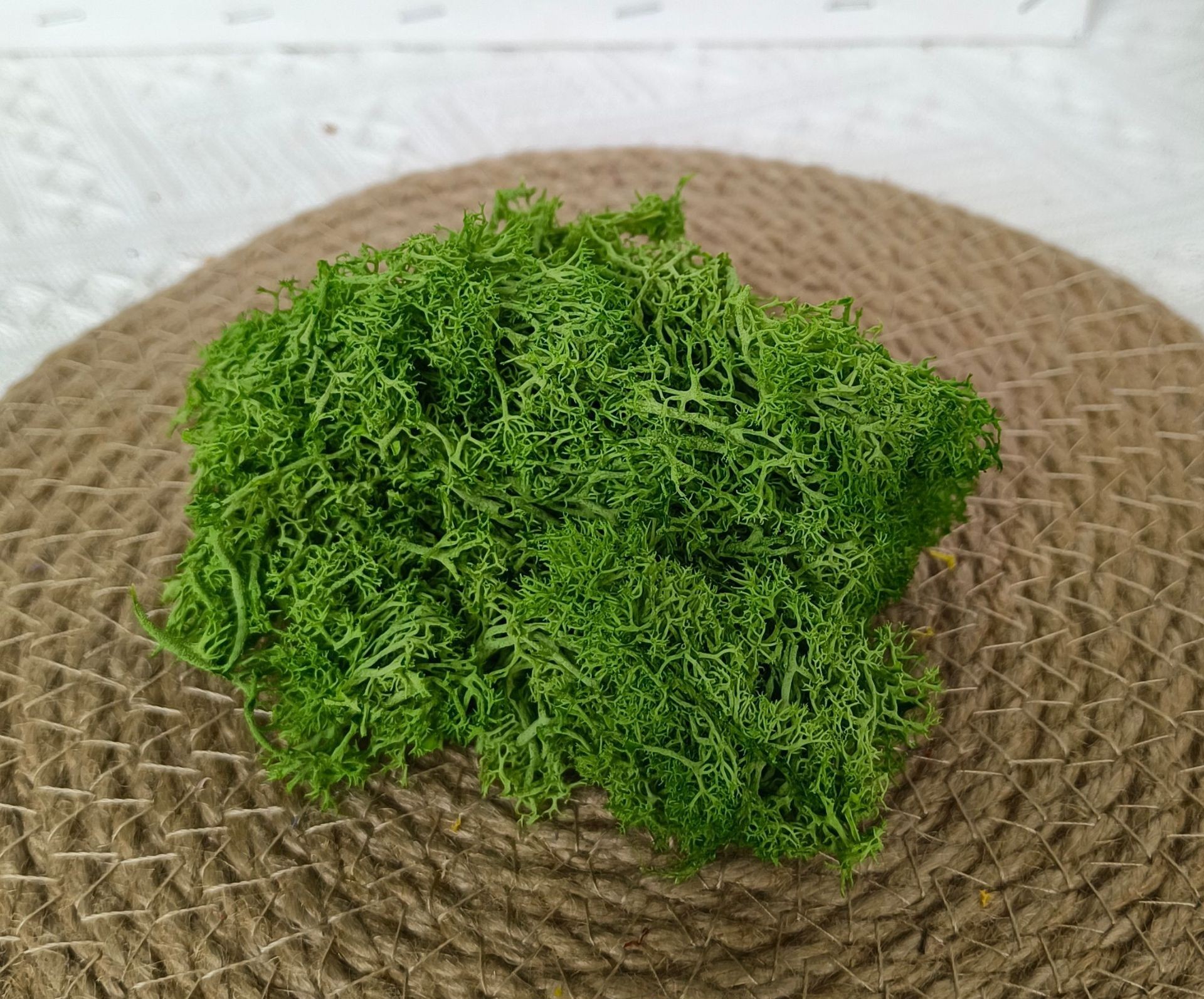 (10g) RÊU TUẦN LỘC KHÔ TRANG TRÍ NẾN/THIỆP/CRAFTBOOK HANDMADE T.CRAFT HOUSE