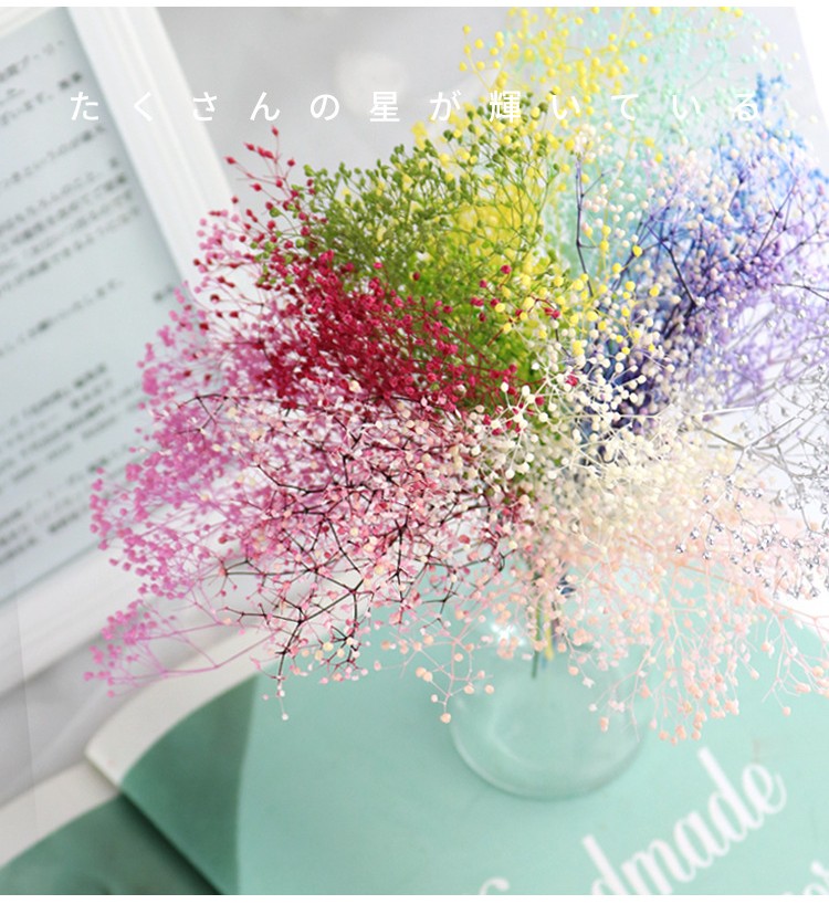 HOA BABY BLOOM KHÔ LOẠI 1 TRANG TRÍ NẾN/THIỆP/CRAFTBOOK HANDMADE T.CRAFT HOUSE