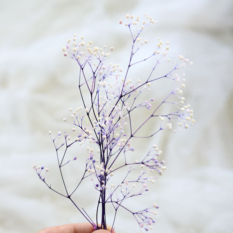 HOA BABY BLOOM KHÔ LOẠI 1 TRANG TRÍ NẾN/THIỆP/CRAFTBOOK HANDMADE T.CRAFT HOUSE