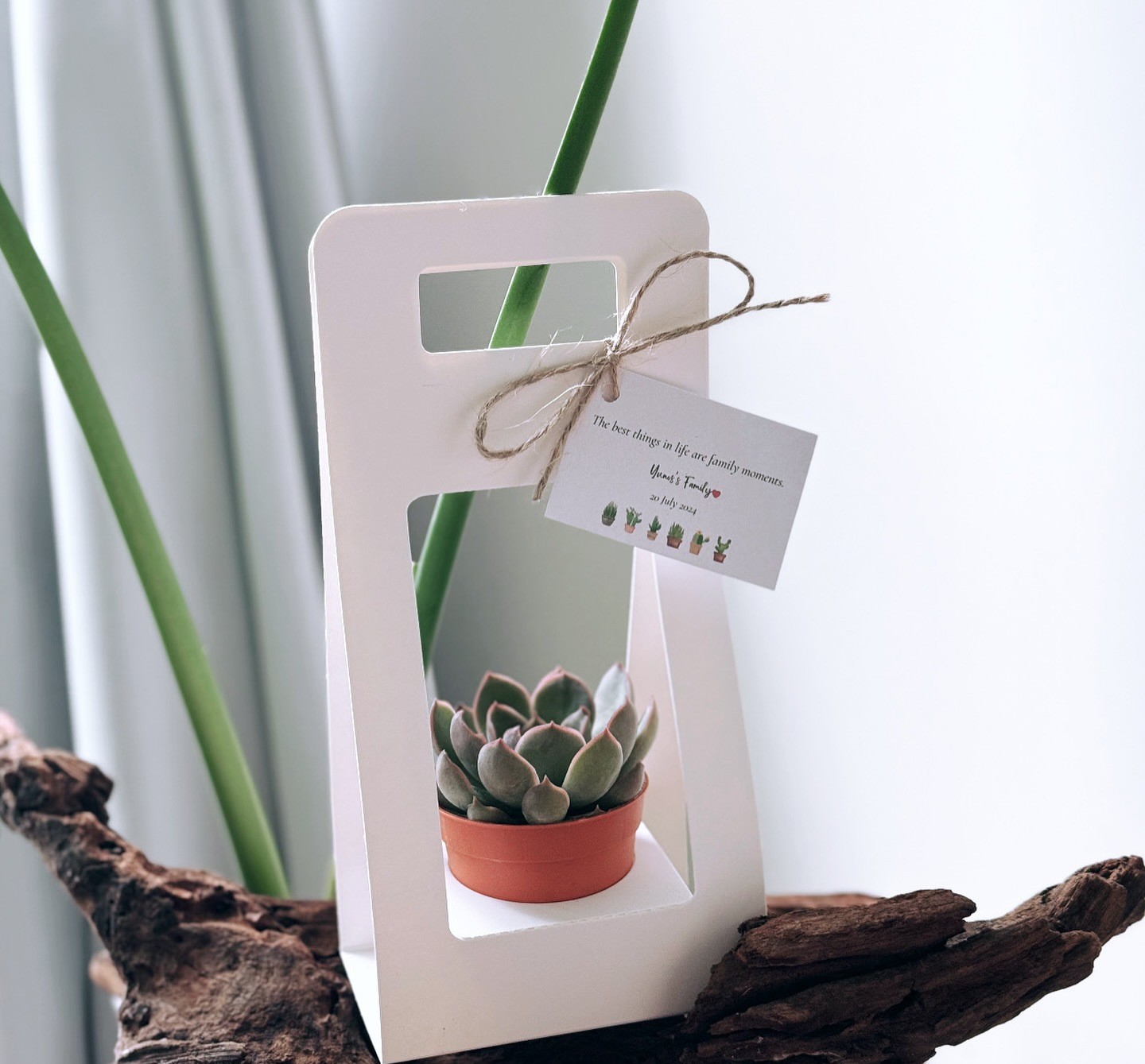 SET 5 HỘP GIẤY CẮM HOA CÓ QUAI XÁCH CAO CẤP T.CRAFT HOUSE
