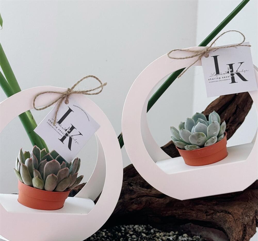 SET 5 HỘP GIẤY CẮM HOA HÌNH TRÒN CÓ QUAI XÁCH CAO CẤP T.CRAFT HOUSE