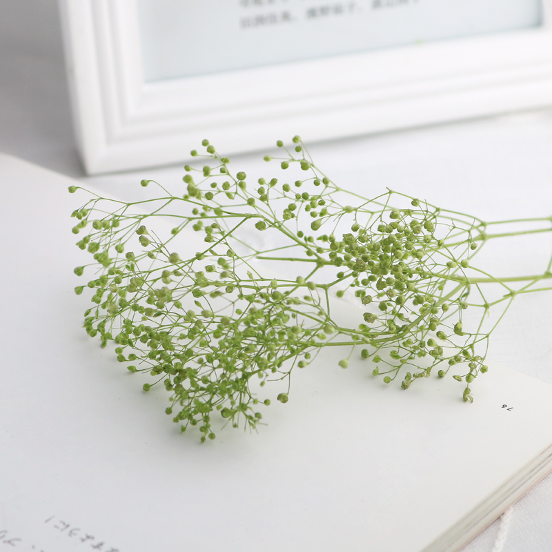 HOA BABY BLOOM KHÔ LOẠI 1 TRANG TRÍ NẾN/THIỆP/CRAFTBOOK HANDMADE T.CRAFT HOUSE