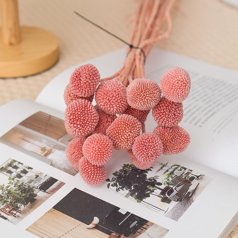 ĐẦU HOA CÚC NÚT ÁO KHÔ LOẠI 1 TRANG TRÍ NẾN/THIỆP/CRAFTBOOK HANDMADE T.CRAFT HOUSE