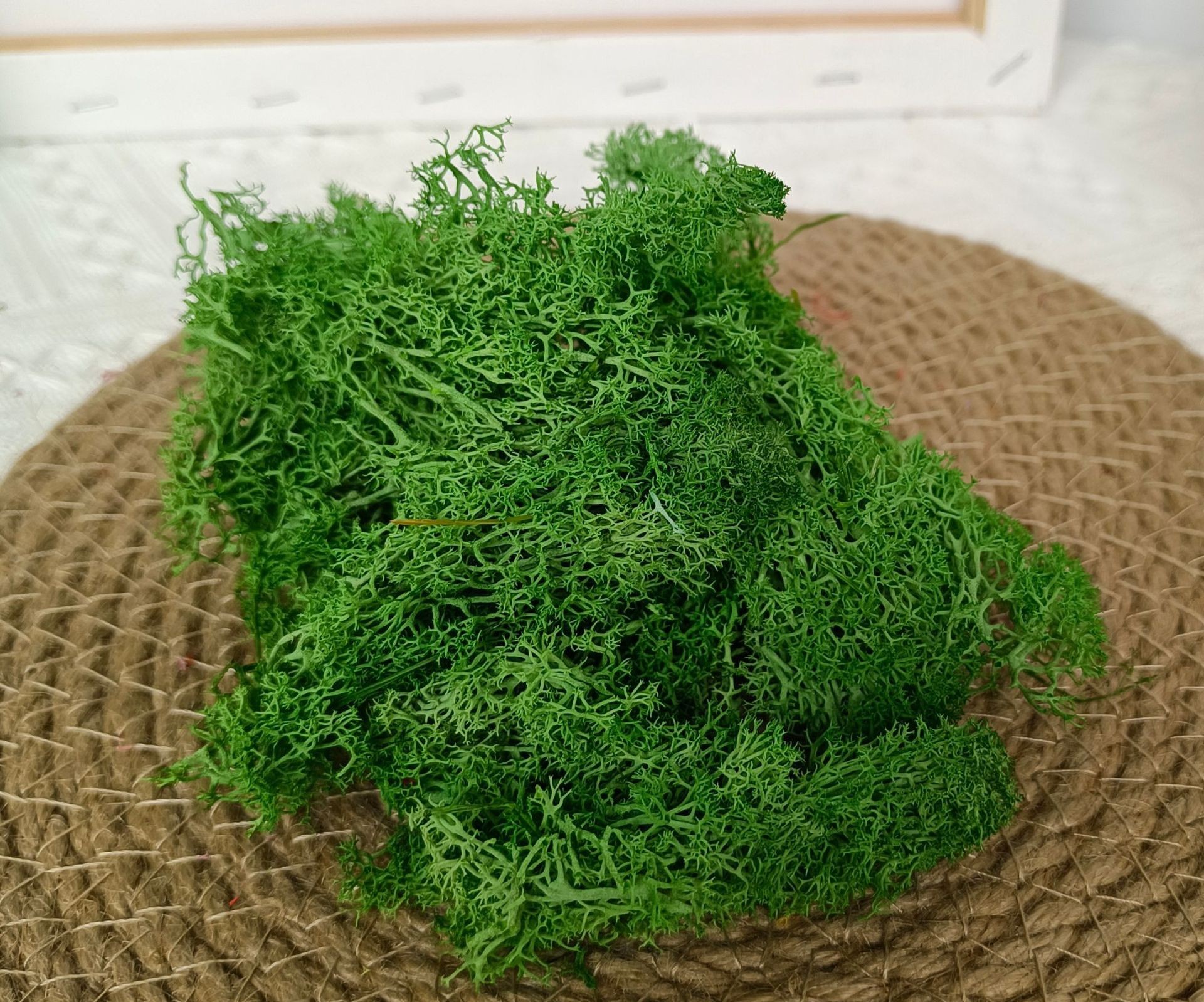 (10g) RÊU TUẦN LỘC KHÔ TRANG TRÍ NẾN/THIỆP/CRAFTBOOK HANDMADE T.CRAFT HOUSE