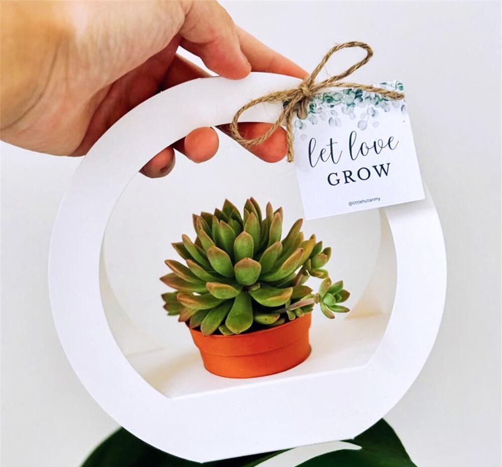 SET 5 HỘP GIẤY CẮM HOA HÌNH TRÒN CÓ QUAI XÁCH CAO CẤP T.CRAFT HOUSE