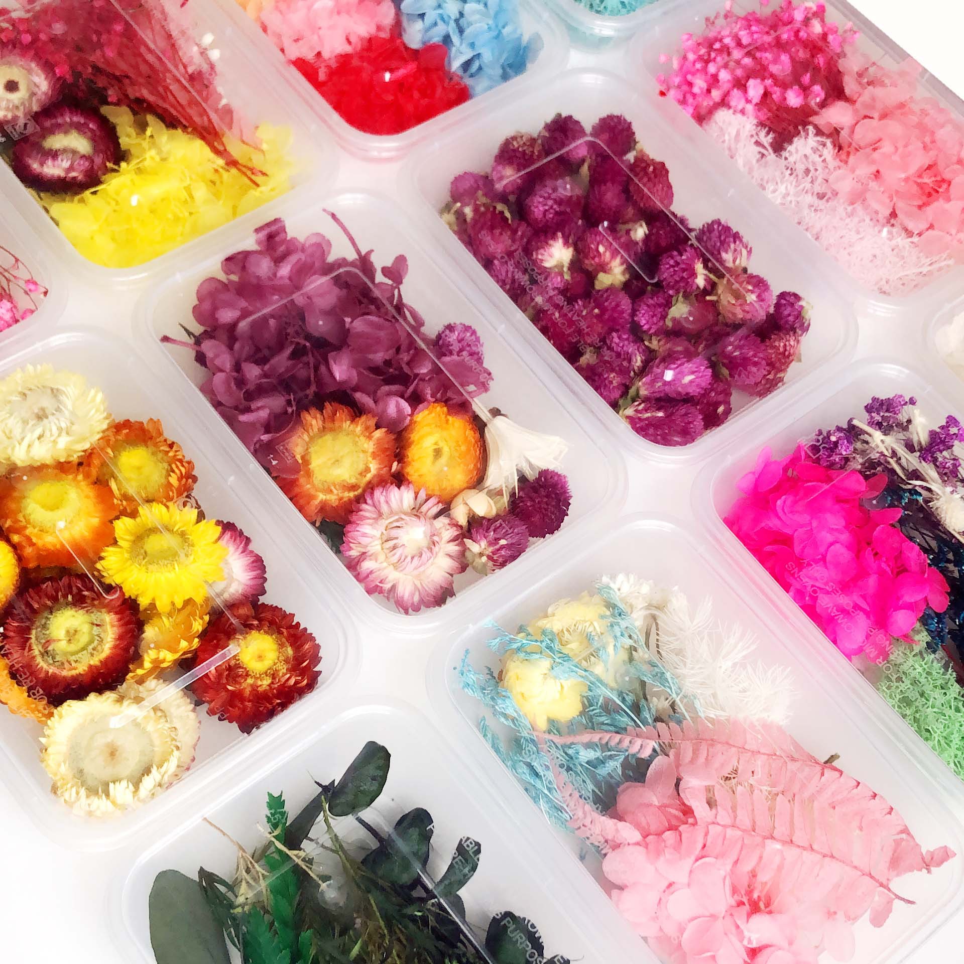 HỘP HOA KHÔ CAO CẤP ĐỦ LOẠI TRANG TRÍ TẬP SÁCH, THIỆP, SỔ VÀ LÀM NẾN T-CRAFT ^^