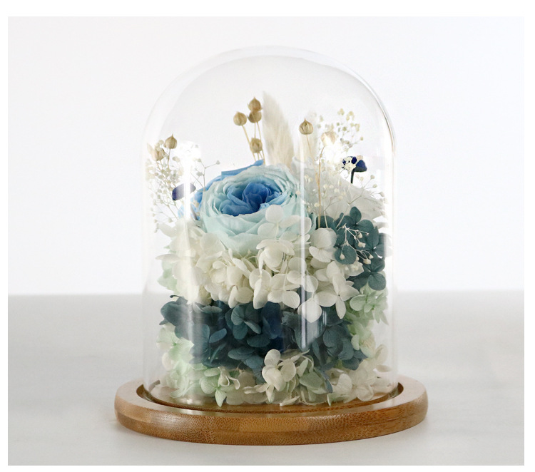 HOA BABY BLOOM KHÔ LOẠI 1 TRANG TRÍ NẾN/THIỆP/CRAFTBOOK HANDMADE T.CRAFT HOUSE