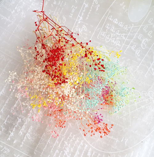 HOA BABY BLOOM KHÔ LOẠI 1 TRANG TRÍ NẾN/THIỆP/CRAFTBOOK HANDMADE T.CRAFT HOUSE