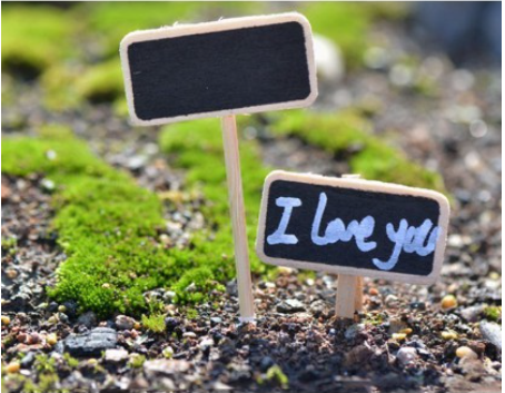 THANH GỖ BẢNG ĐEN HOẶC TRẮNG MINI ĐA NĂNG, TIỆN DỤNG T.CRAFT HOUSE-NVLG