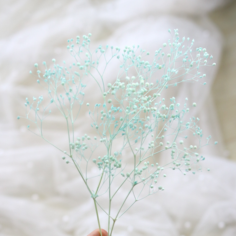 HOA BABY BLOOM KHÔ LOẠI 1 TRANG TRÍ NẾN/THIỆP/CRAFTBOOK HANDMADE T.CRAFT HOUSE