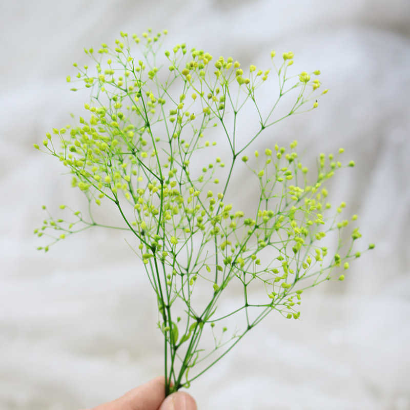 HOA BABY BLOOM KHÔ LOẠI 1 TRANG TRÍ NẾN/THIỆP/CRAFTBOOK HANDMADE T.CRAFT HOUSE