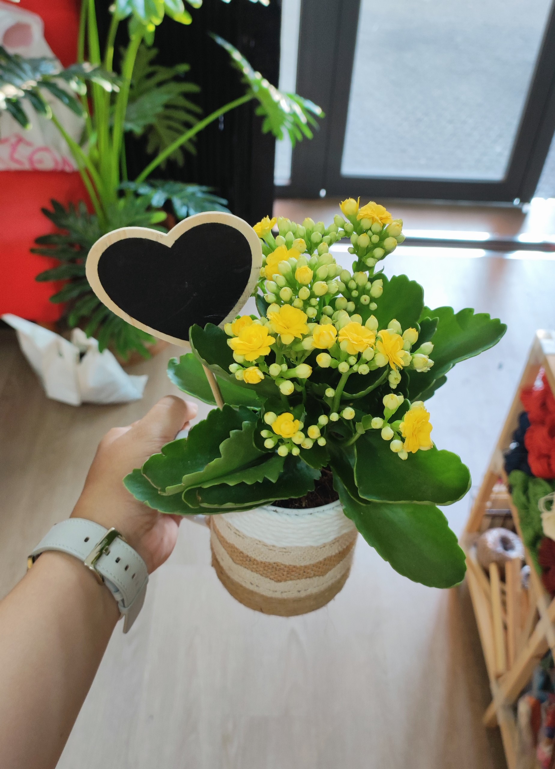 LY CÂY HOA THẬT TRANG TRÍ LÀM QUÀ TẶNG SIÊU XINH XẺO T.CRAFT HOUSE