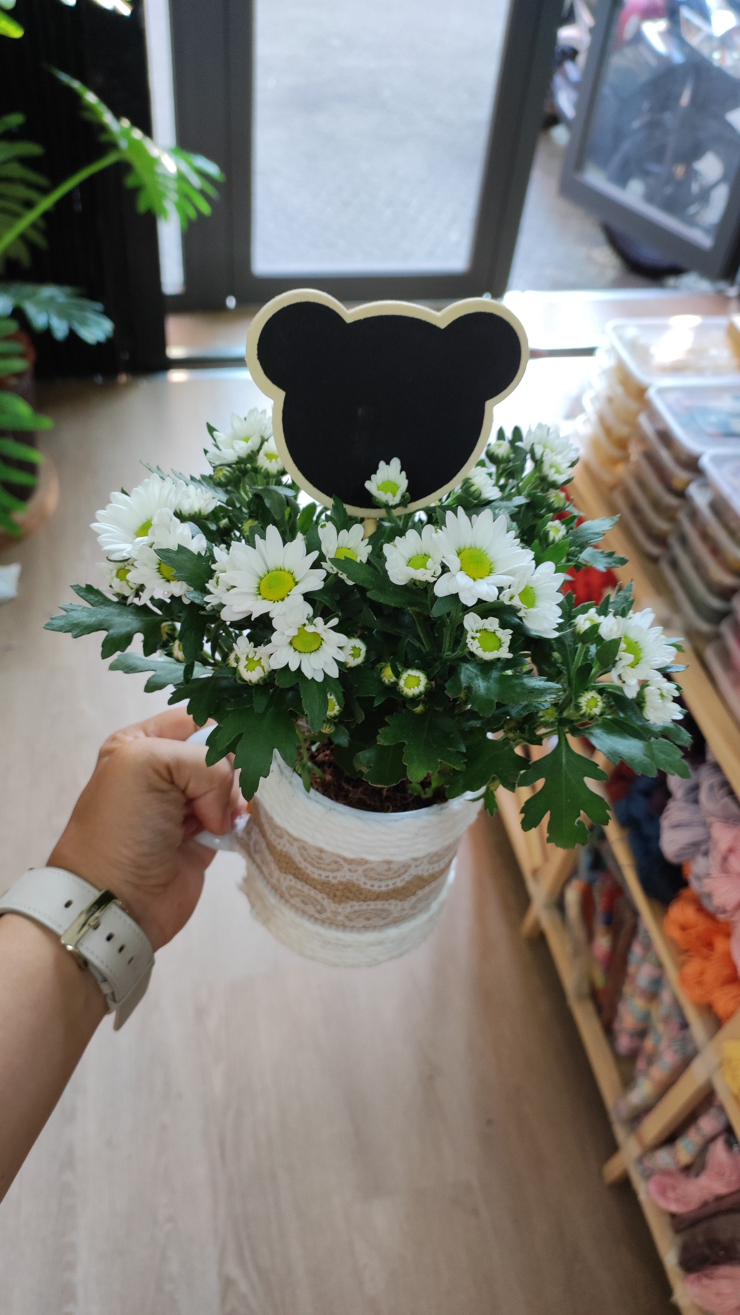 LY CÂY HOA THẬT TRANG TRÍ LÀM QUÀ TẶNG SIÊU XINH XẺO T.CRAFT HOUSE