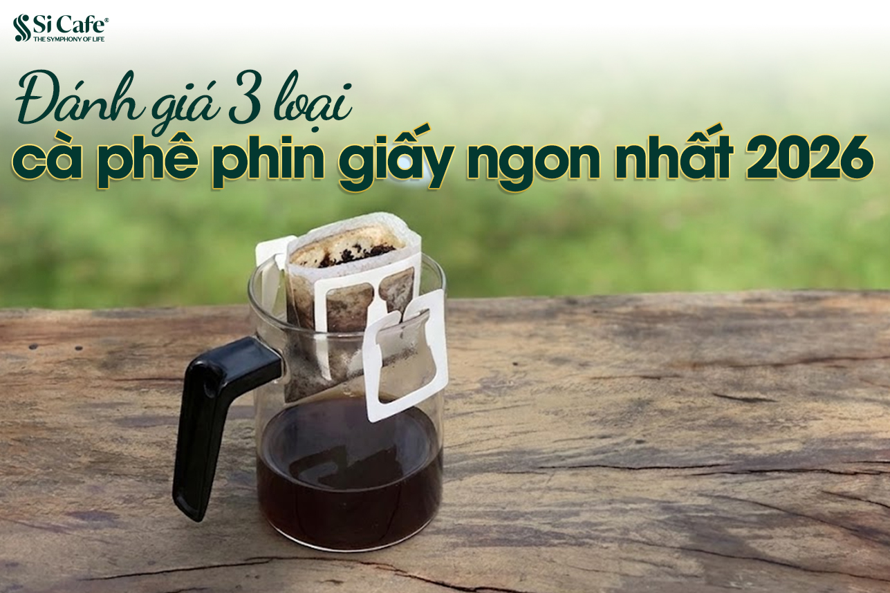Đánh giá 3 loại cà phê phin giấy ngon nhất 2026