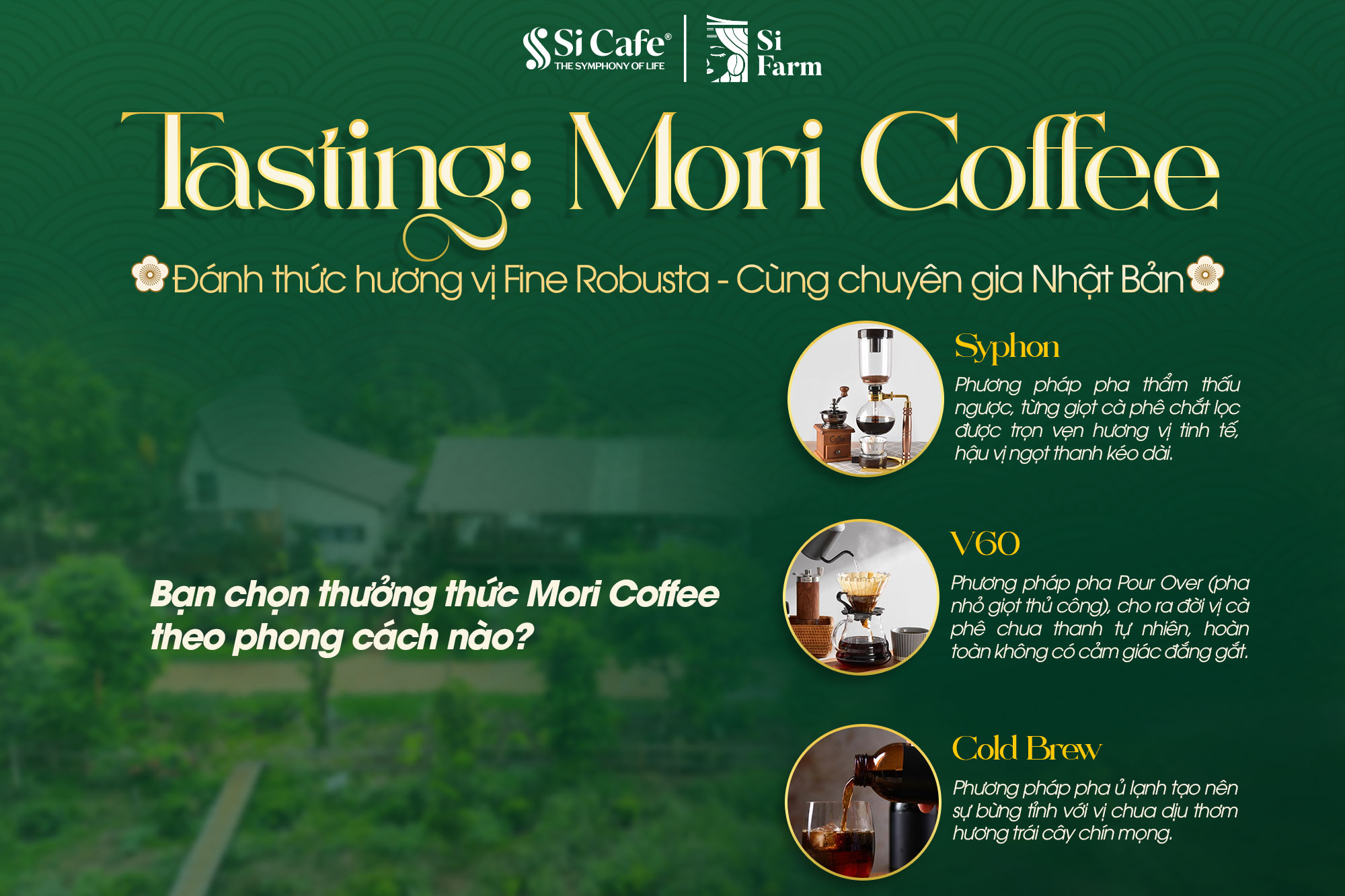 Sự kiện: Tasting Mori Coffee - Đánh Thức Hương Vị Fine Robusta Cùng Chuyên Gia Nhật Bản