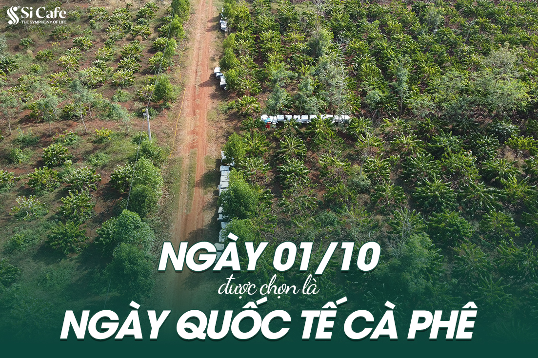 NGÀY 01/10 CHÍNH THỨC ĐƯỢC CHỌN LÀ NGÀY QUỐC TẾ CÀ PHÊ
