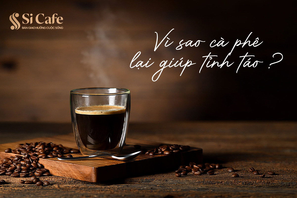 Vì Sao Cà Phê Lại Giúp Bạn Tỉnh Táo?