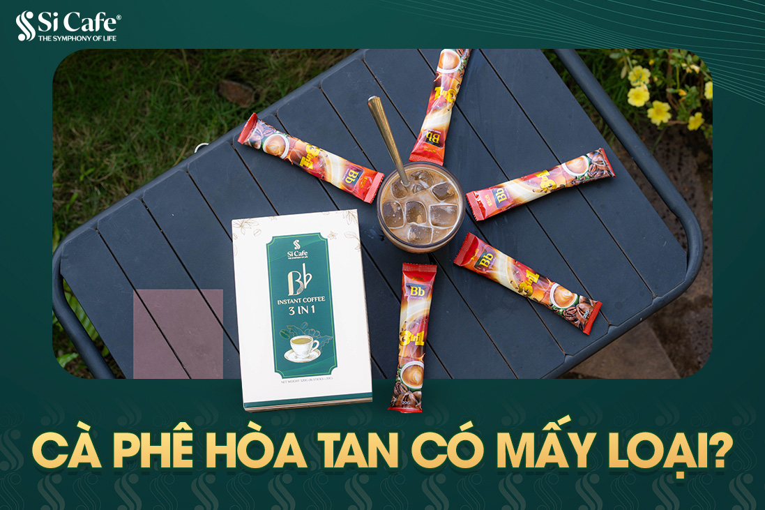 Cà Phê Hòa Tan Có Mấy Loại?