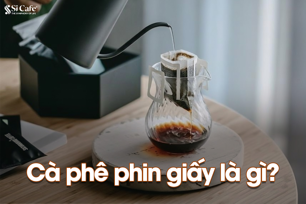 Cà phê phin giấy là gì? Ưu điểm? Giá bao nhiêu?