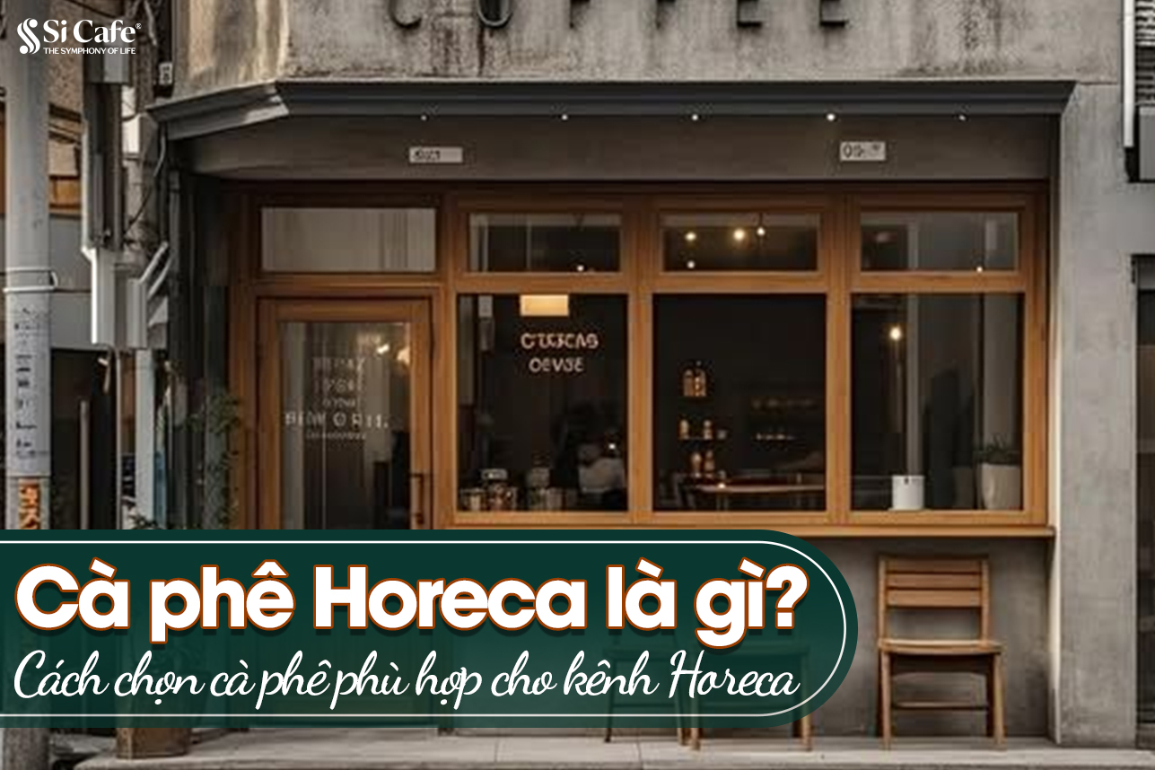 Cà phê Horeca là gì? Cách chọn cà phê phù hợp cho kênh Horeca