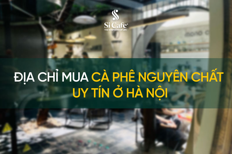 Địa chỉ mua cà phê nguyên chất uy tín ở Hà Nội