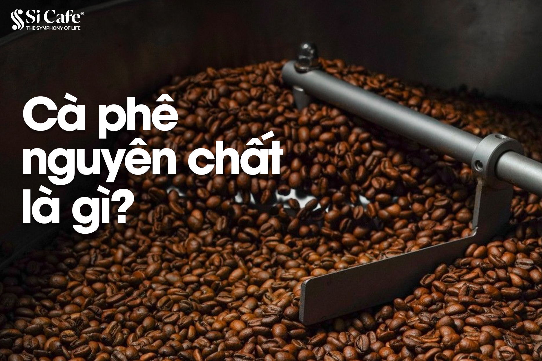 Cà phê nguyên chất là gì? Giá bán cà phê nguyên chất bao nhiêu?