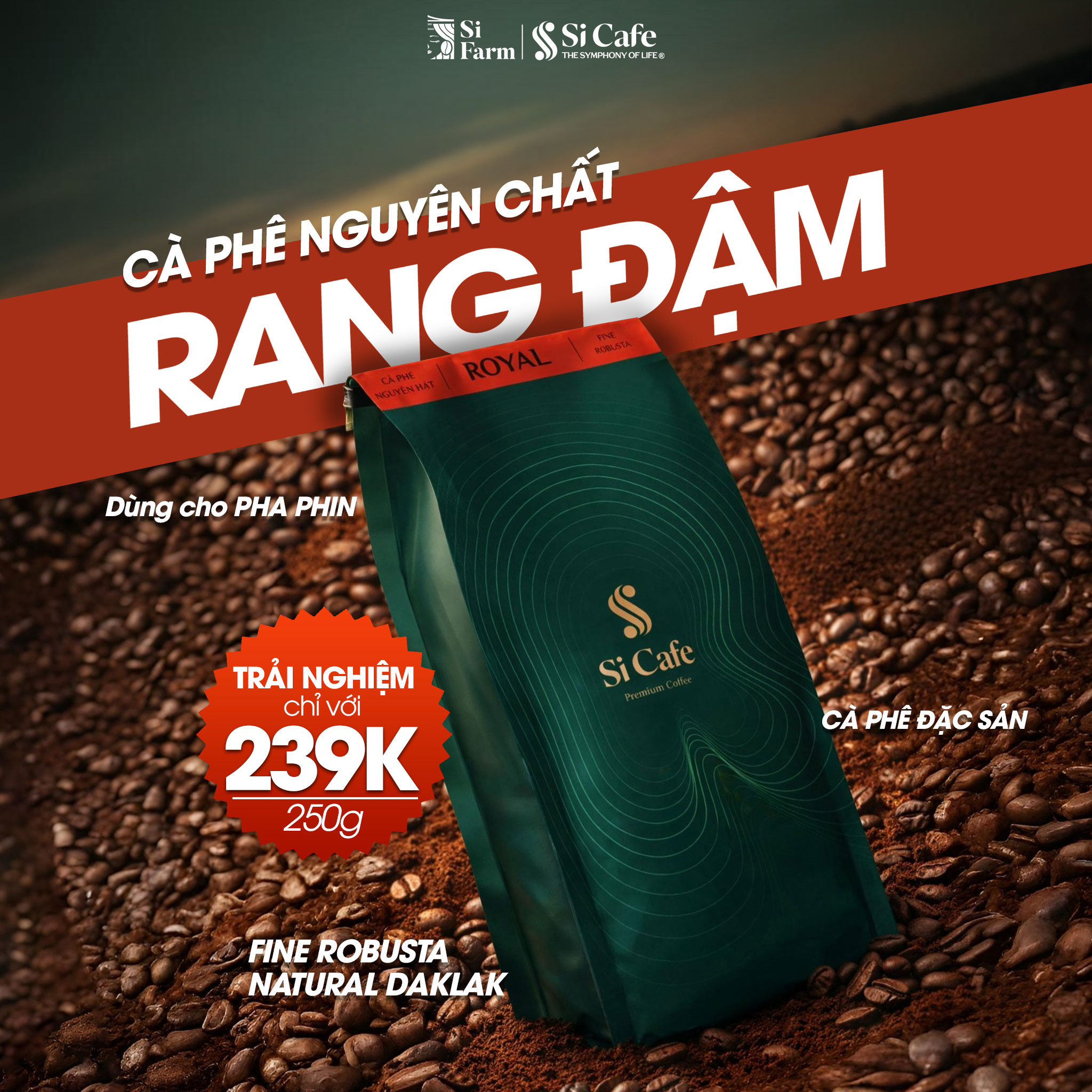 Cà Phê Rang Xay Royal 100% Fine Robusta