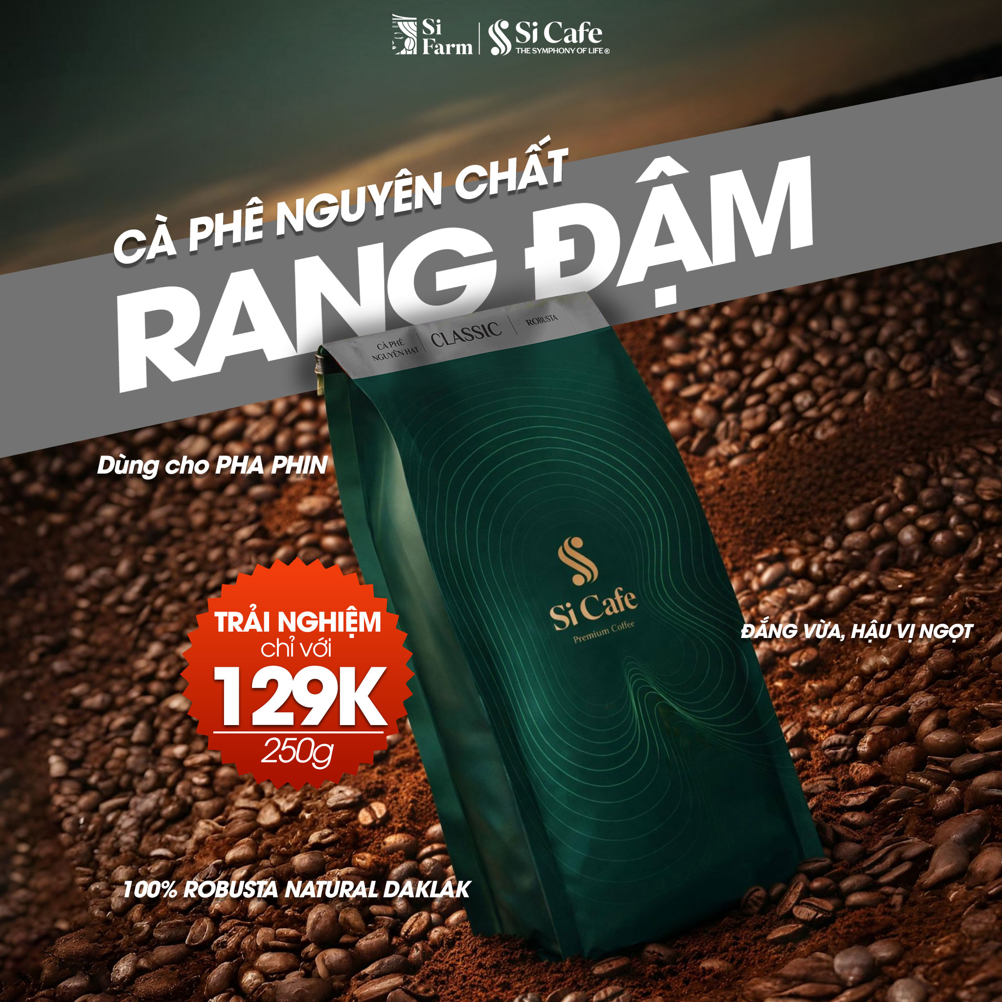 Cà Phê Rang Xay Classic 100% Robusta