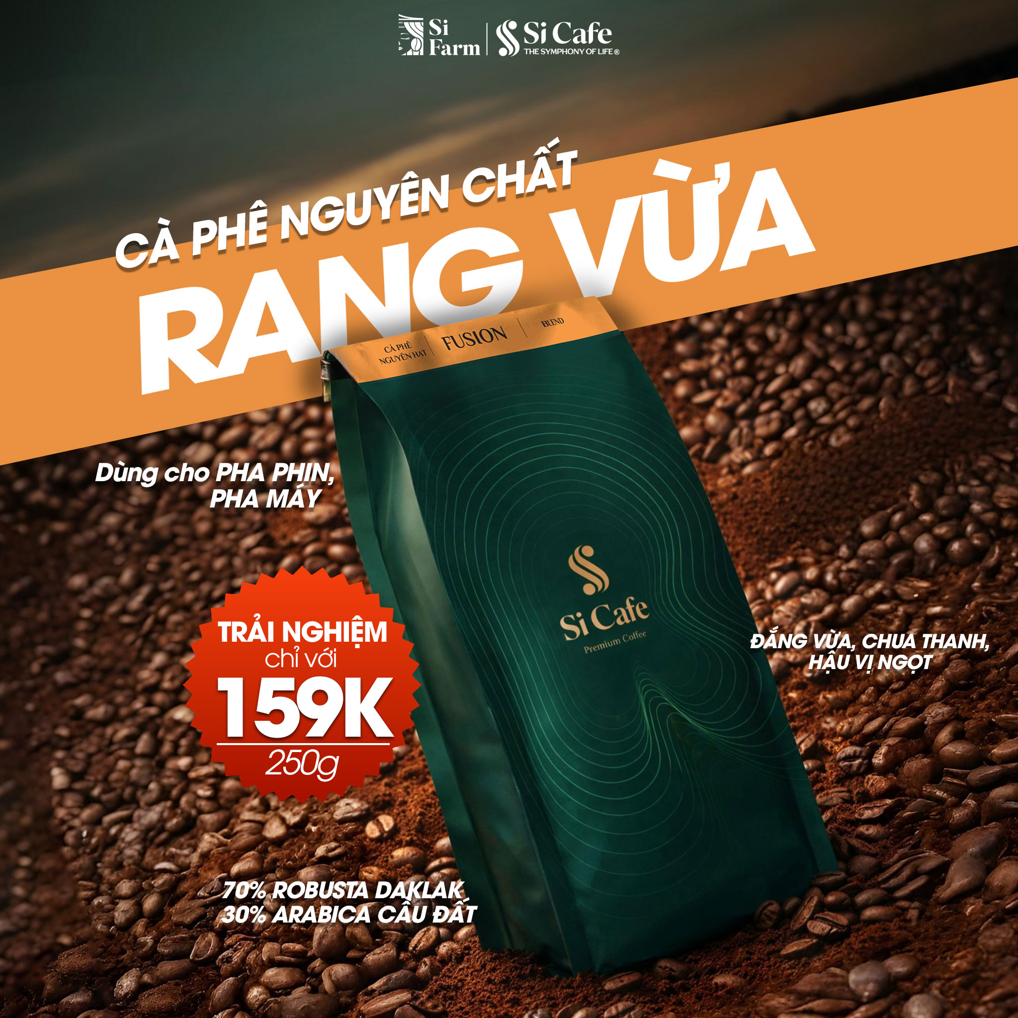 Cà Phê Rang Xay Fusion (70% Robusta x 30% Arabica)
