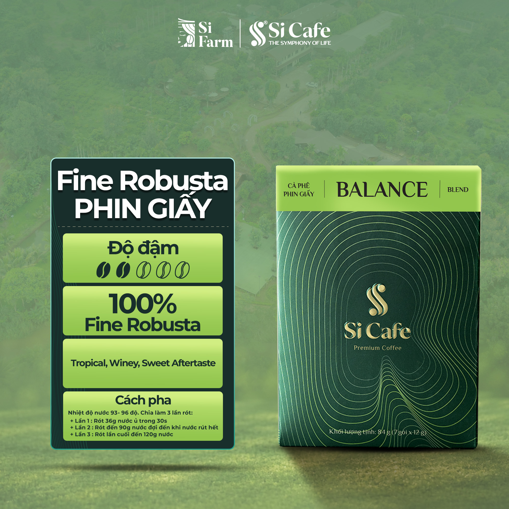 Cà Phê Đặc Sản PHIN GIẤY Top 4 Việt Nam | The Seasonal Fine Robusta 2026