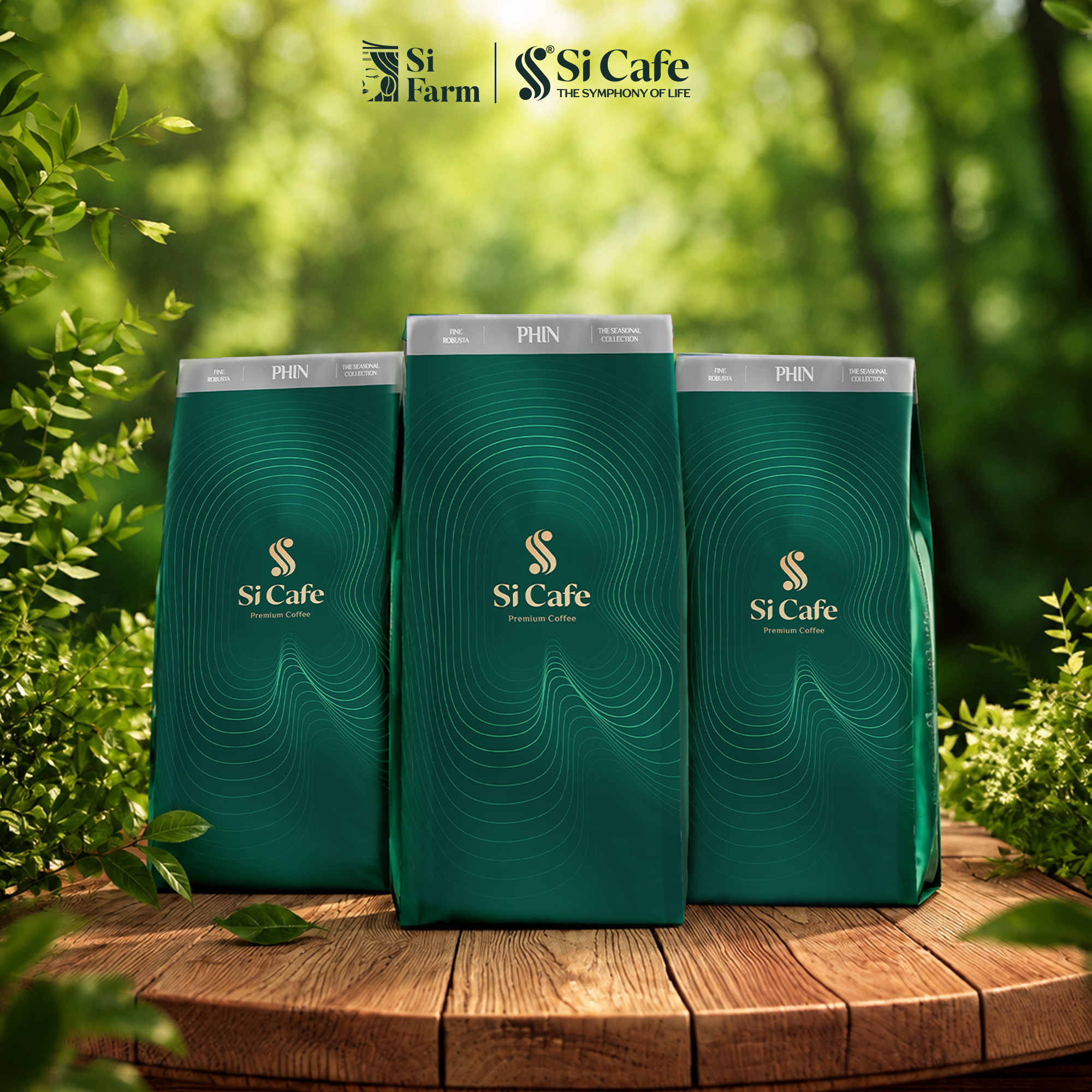Cà Phê Đặc Sản PHIN Top 4 Việt Nam | The Seasonal Fine Robusta 2026