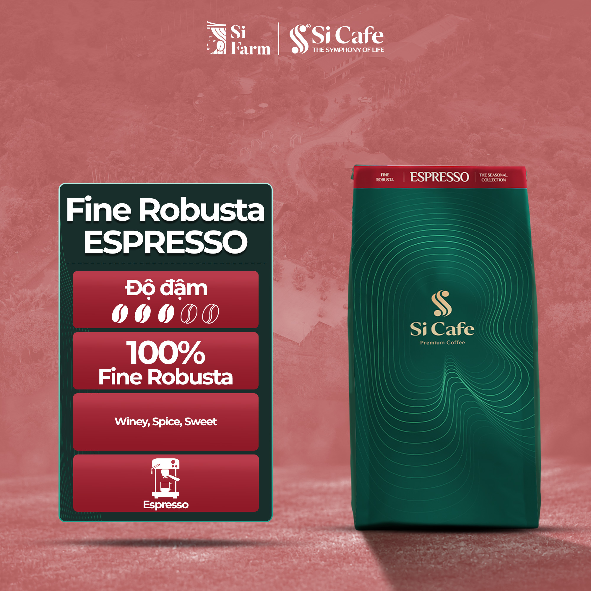 Cà Phê Đặc Sản ESPRESSO Top 4 Việt Nam | The Seasonal Fine Robusta 2026