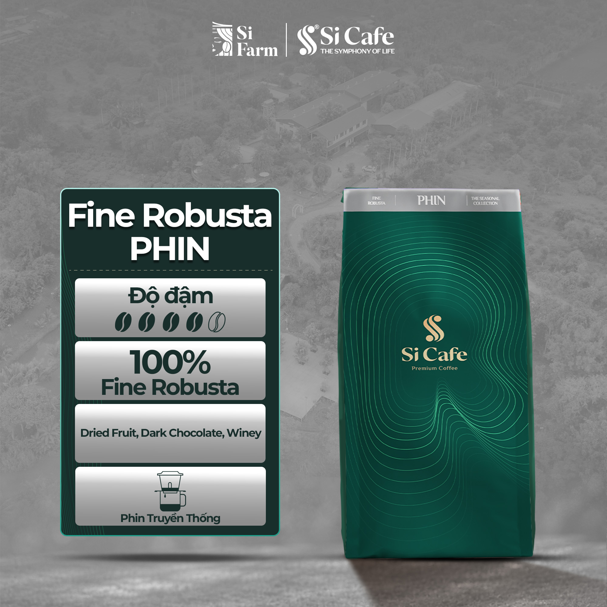 Cà Phê Đặc Sản PHIN Top 4 Việt Nam | The Seasonal Fine Robusta 2026