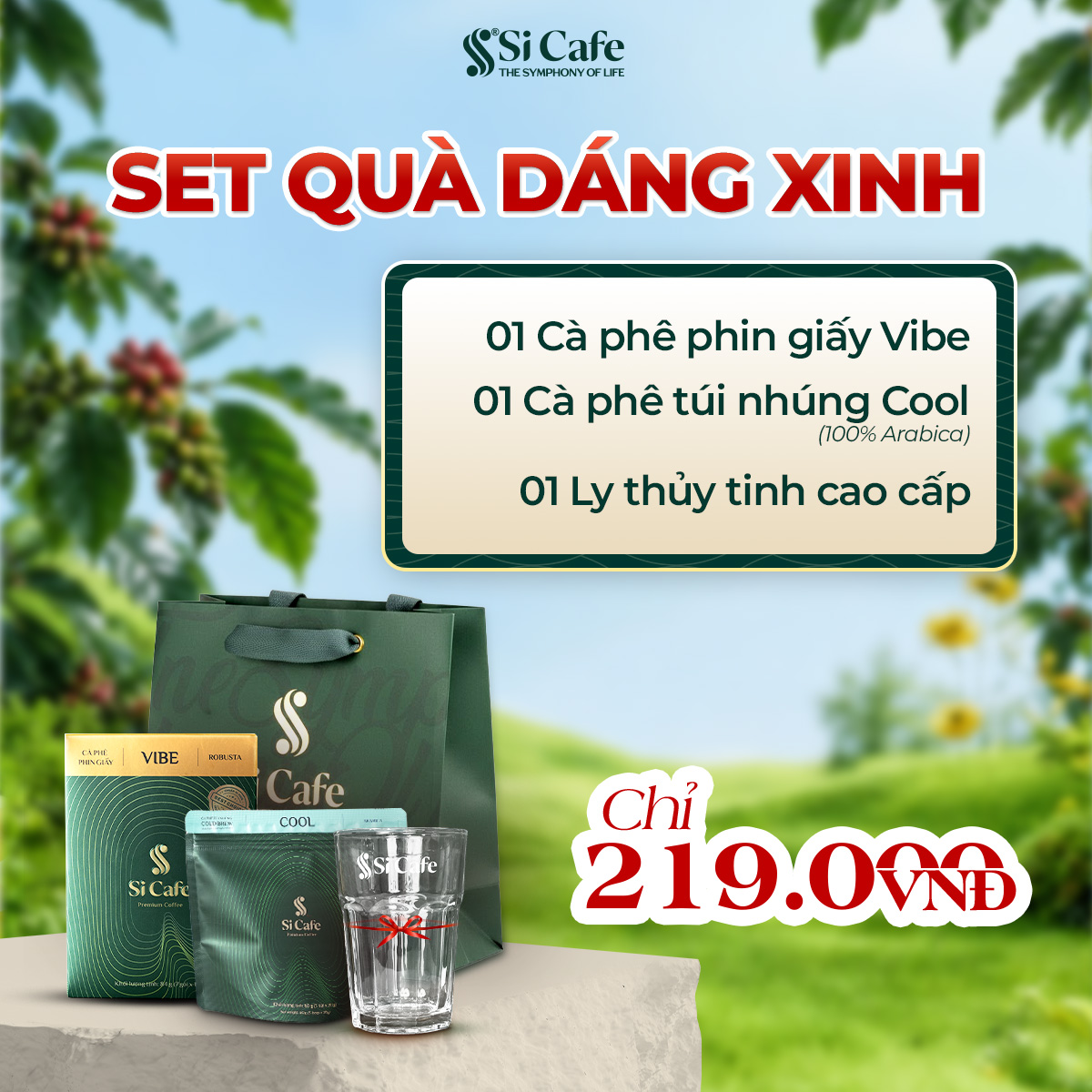 SET Quà Tết Cà Phê Dáng Xinh