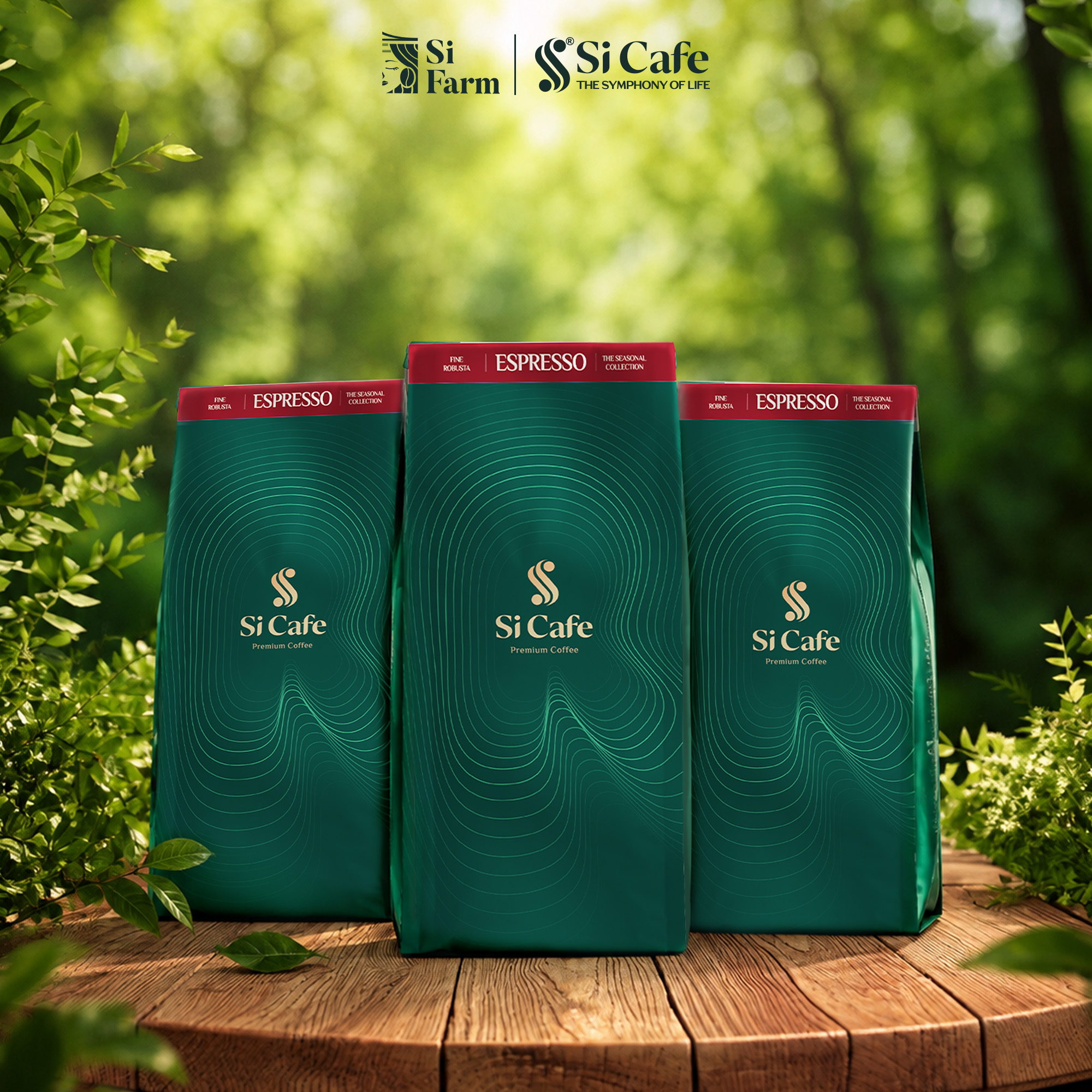 Cà Phê Đặc Sản ESPRESSO Top 4 Việt Nam | The Seasonal Fine Robusta 2026