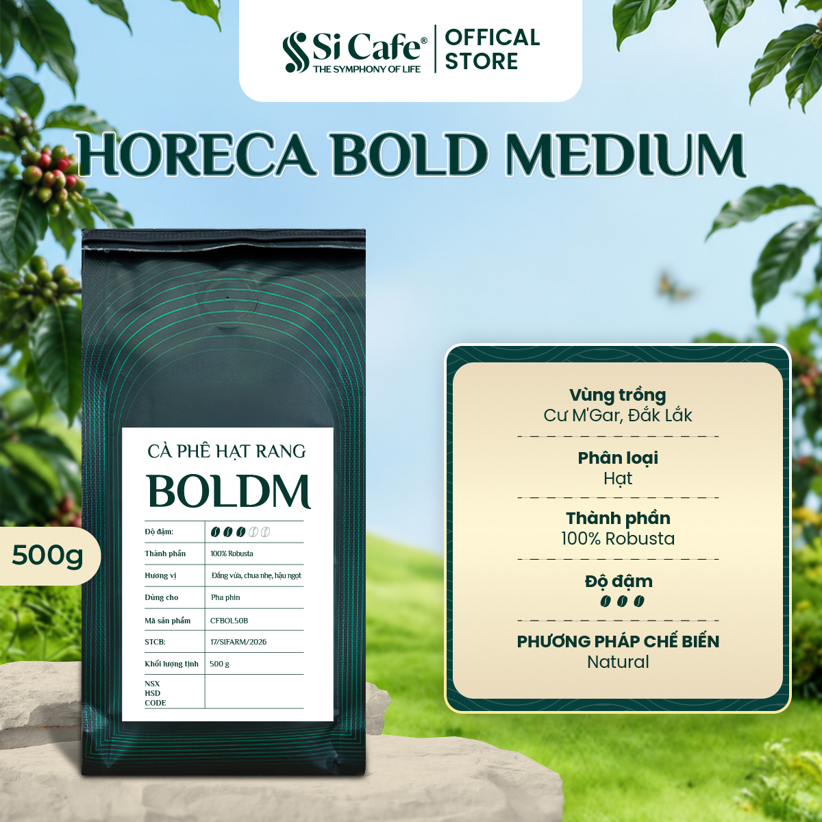 Cà Phê Nguyên Chất Bold Medium Kênh Horeca