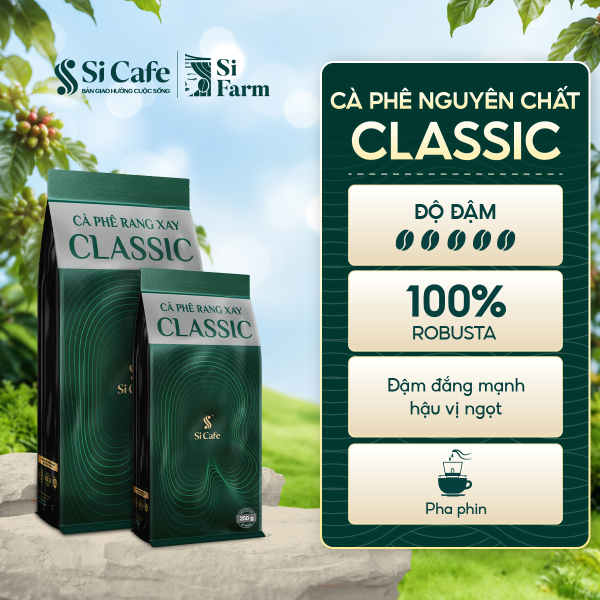 Cà Phê Nguyên Chất Classic 100% Robusta