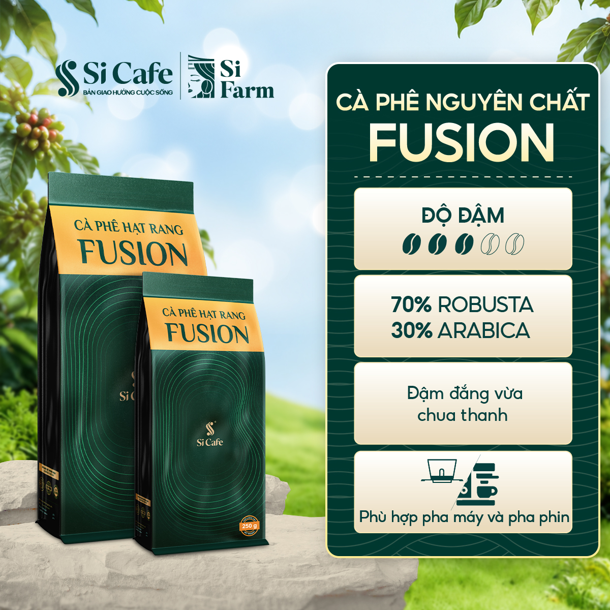 Cà Phê Nguyên Chất Fusion (70% Robusta x 30% Arabica)
